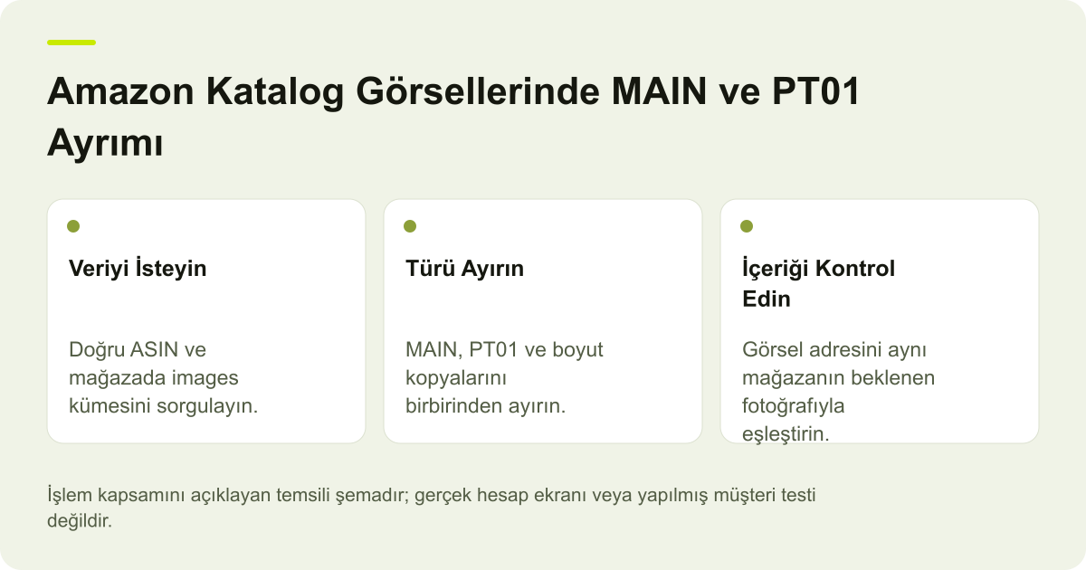 Amazon Katalog Görsellerinde MAIN ve PT01 Ayrımı için işlem kapsamını gösteren açıklayıcı şema