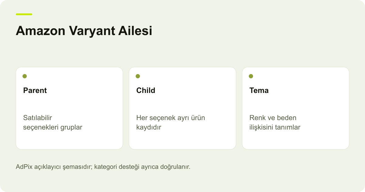 Amazon Varyant Ailesi: Parent — Satılabilir seçenekleri gruplar; Child — Her seçenek ayrı ürün kaydıdır; Tema — Renk ve beden ilişkisini tanımlar