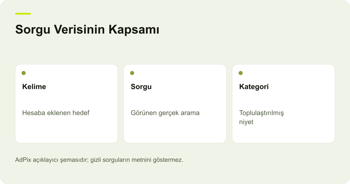 Sorgu Verisinin Kapsamı: Kelime — Hesaba eklenen hedef; Sorgu — Görünen gerçek arama; Kategori — Toplulaştırılmış niyet