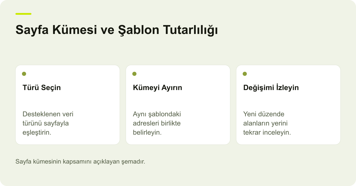 Google Data Highlighter Sayfa Kümelerinin Kapsamı konusunda kapsam ve kontrol adımlarını açıklayan şema.