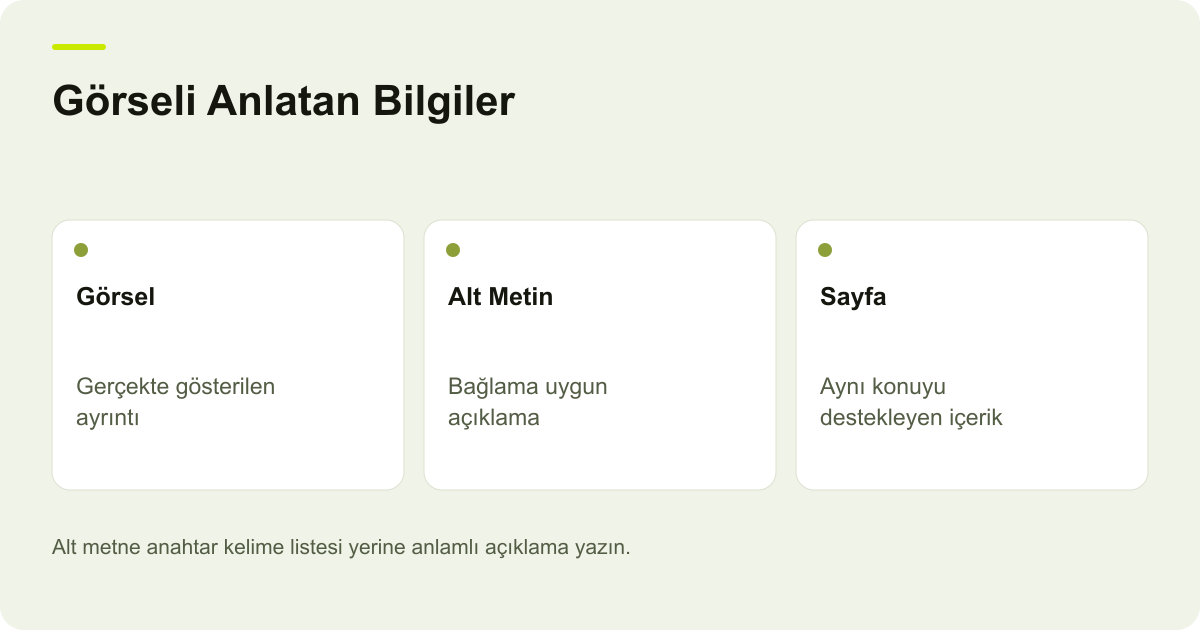 Görseli Anlatan Bilgiler: Görsel: Gerçekte gösterilen ayrıntı, Alt Metin: Bağlama uygun açıklama, Sayfa: Aynı konuyu destekleyen içerik