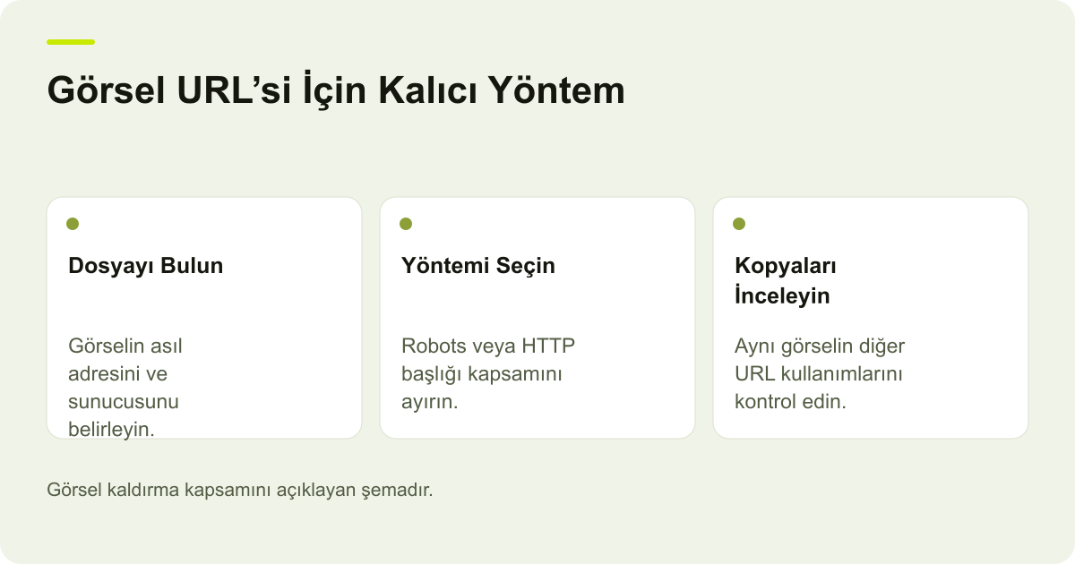 Google Görsellerden Dosya Kaldırmada URL Kapsamı konusunda kapsam ve kontrol adımlarını açıklayan şema.