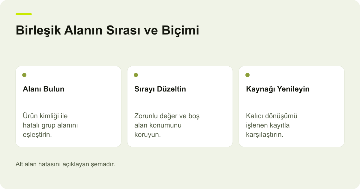 Google Merchant Center Alt Alan Biçim Hatasını Çözmek konusunda kapsam ve kontrol adımlarını açıklayan şema.