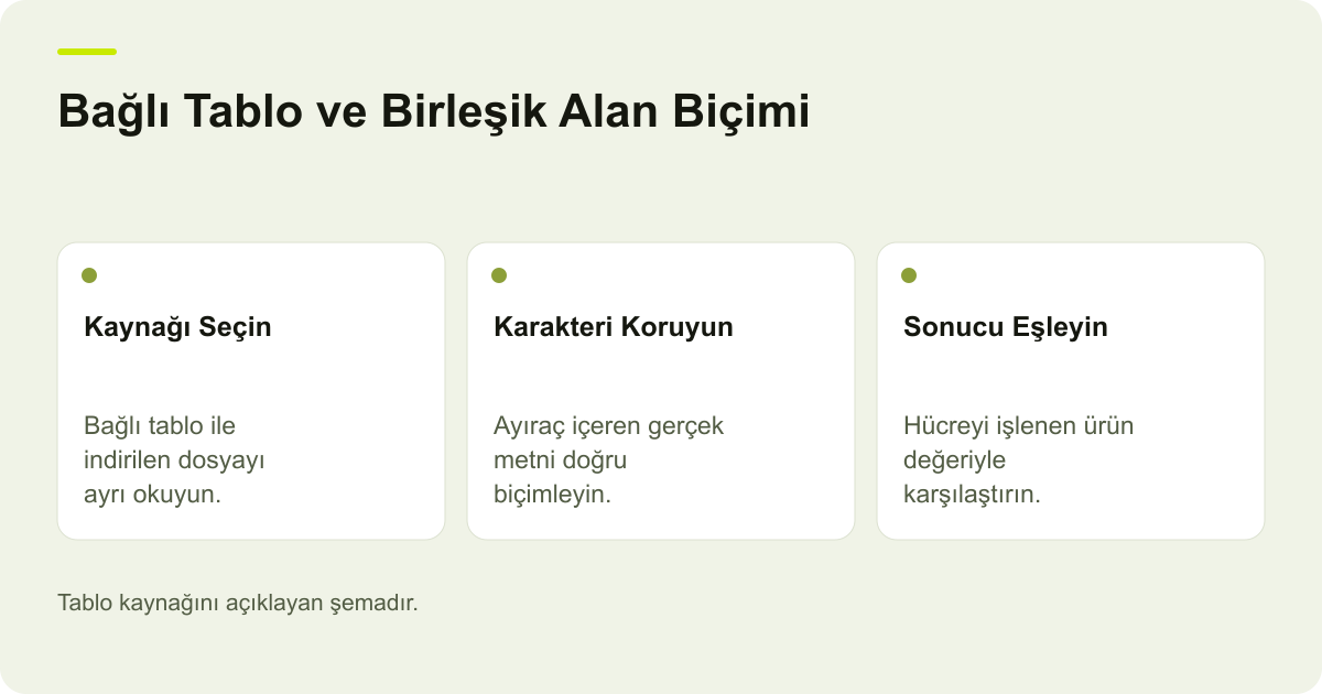 Google Merchant Center E-Tablolar Kaynağında Özel Karakterler konusunda kapsam ve kontrol adımlarını açıklayan şema.