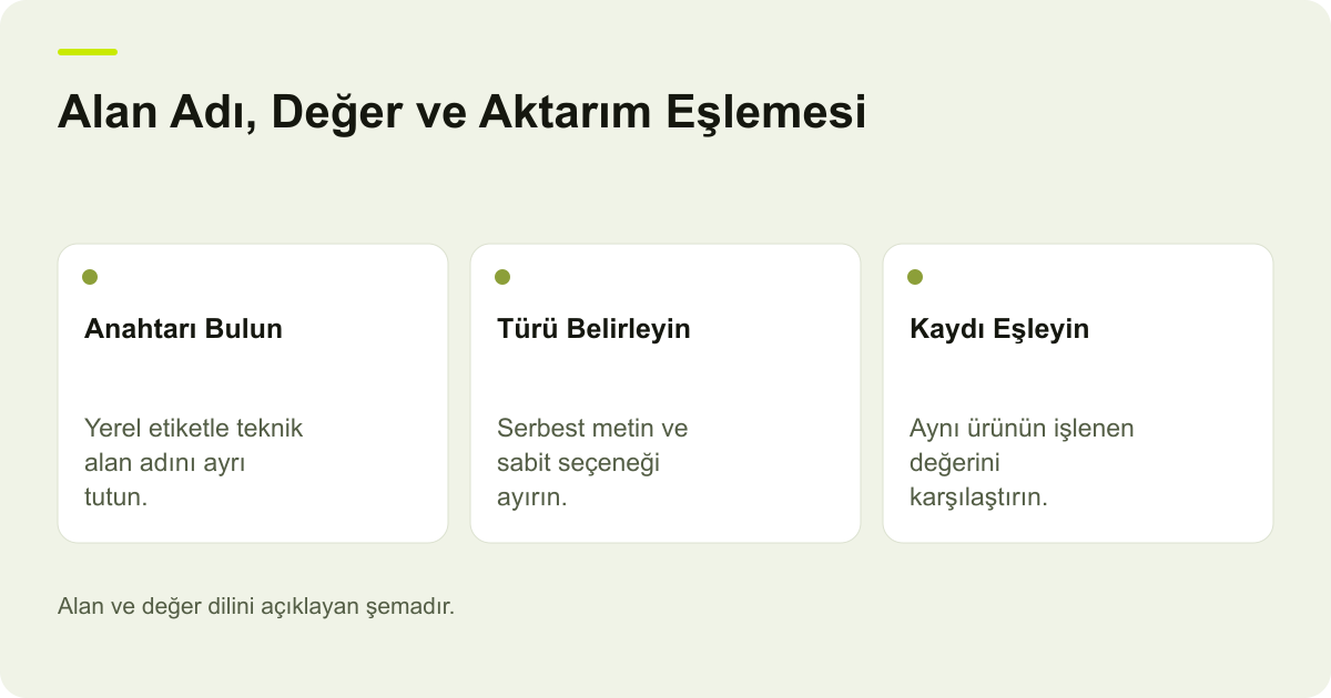 Google Merchant Center Alan ve Değer Dilini Ayırmak konusunda kapsam ve kontrol adımlarını açıklayan şema.