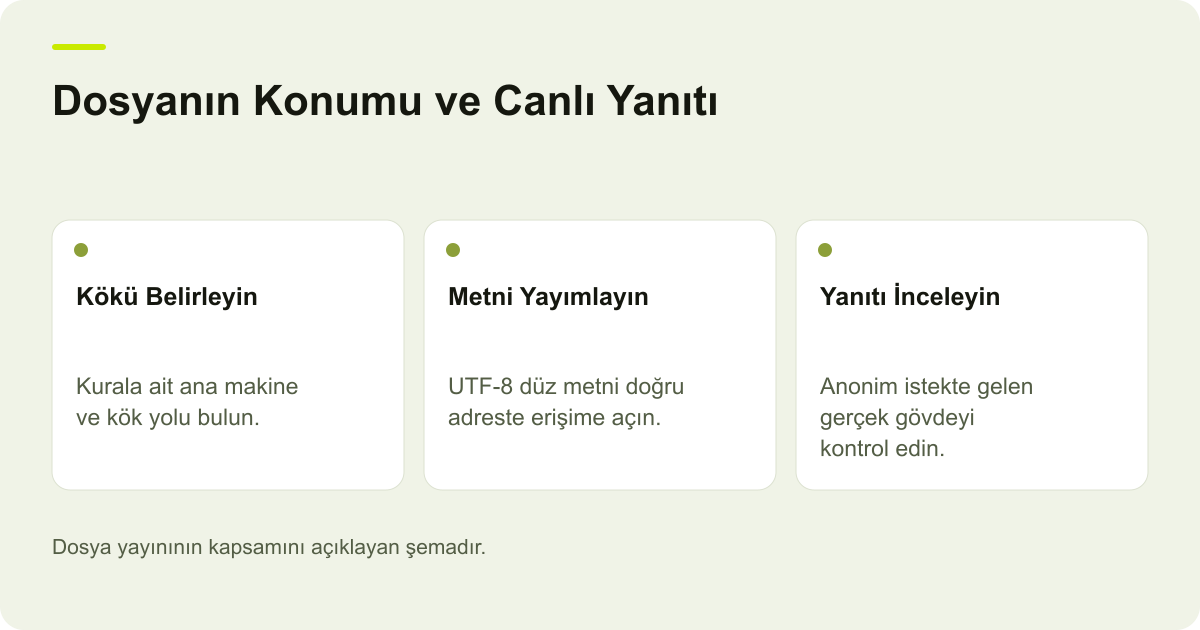 Google İçin robots.txt Dosyasının Doğru Yayımlanması konusunda kapsam ve kontrol adımlarını açıklayan şema.