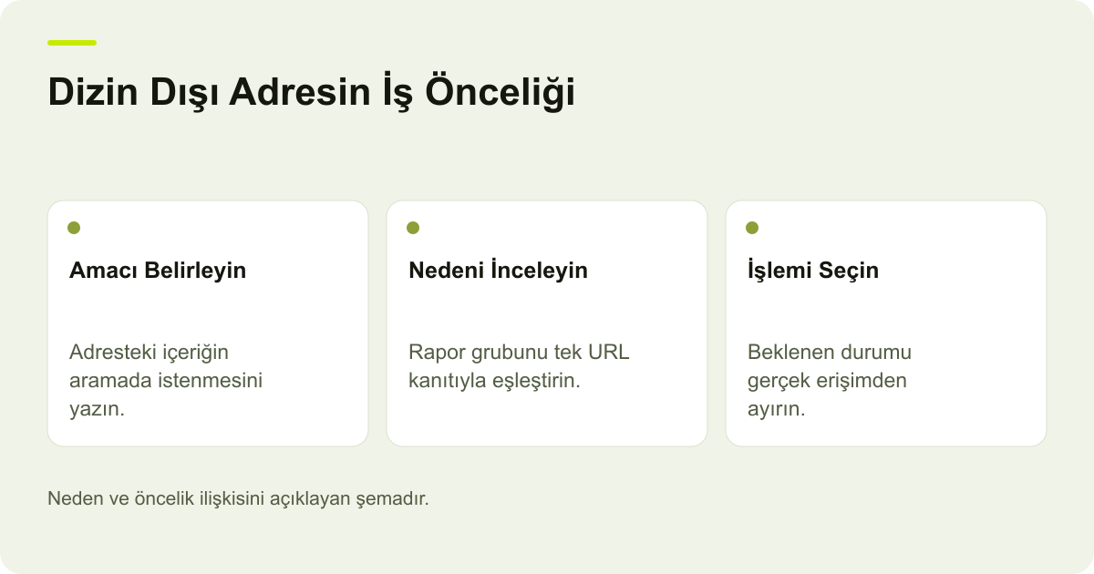 Google Search Console Dizin Dışı URL’lerde Öncelik konusunda kapsam ve kontrol adımlarını açıklayan şema.
