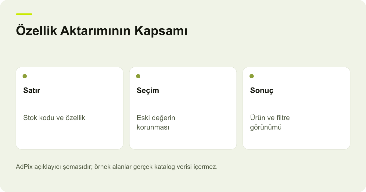 Özellik Aktarımının Kapsamı: Satır — Stok kodu ve özellik; Seçim — Eski değerin korunması; Sonuç — Ürün ve filtre görünümü