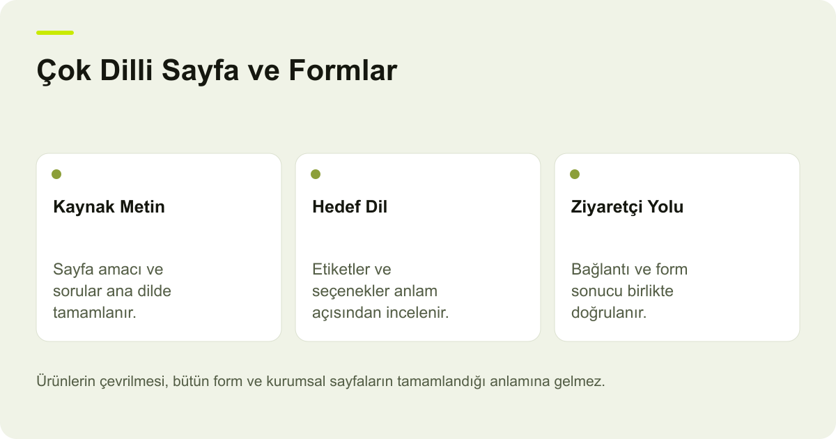 Çok Dilli Sayfa ve Formlar: Kaynak Metin: Sayfa amacı ve sorular ana dilde tamamlanır., Hedef Dil: Etiketler ve seçenekler anlam açısından incelenir., Ziyaretçi Yolu: Bağlantı ve form sonucu birlikte doğrulanır.