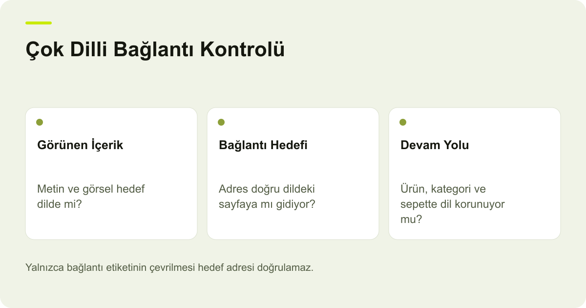 Çok Dilli Bağlantı Kontrolü: Görünen İçerik — Metin ve görsel hedef dilde mi?; Bağlantı Hedefi — Adres doğru dildeki sayfaya mı gidiyor?; Devam Yolu — Ürün, kategori ve sepette dil korunuyor mu?