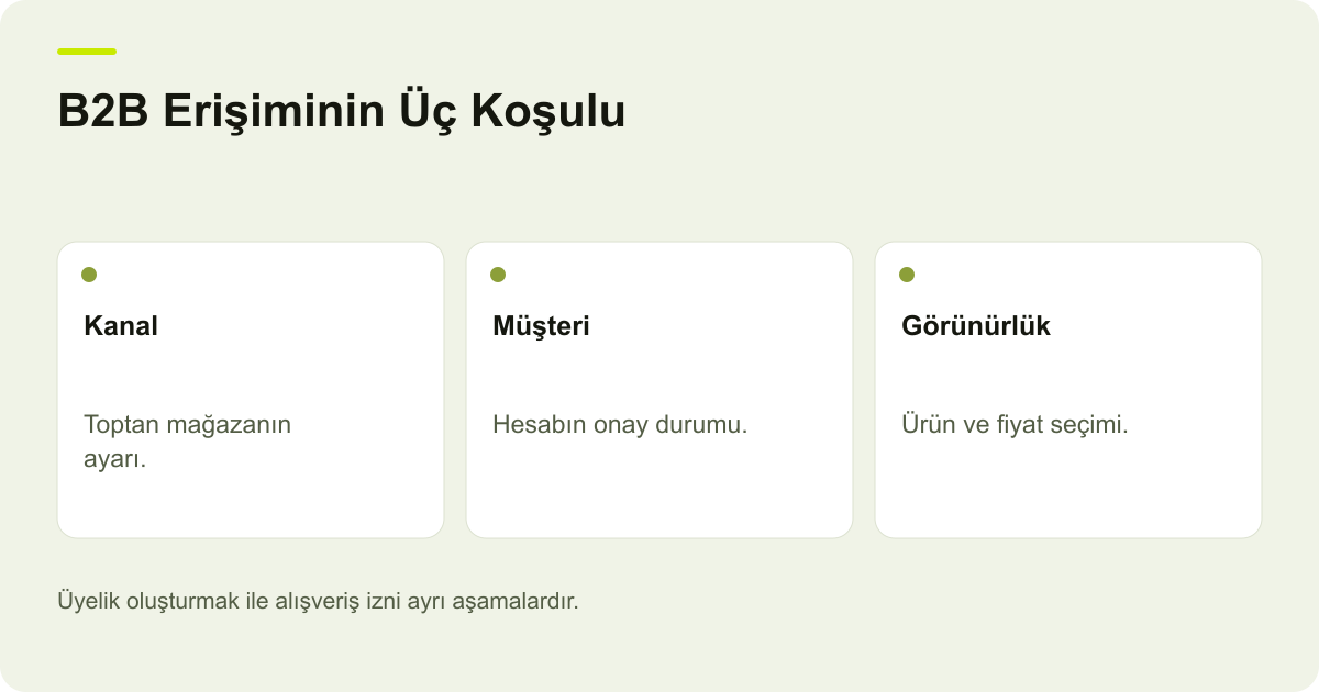 ikas B2B Kanalında Üyelik Onayı ve Fiyat Görünürlüğü konusunda kayıt, kapsam ve sonuç ilişkisini açıklayan AdPix şeması.