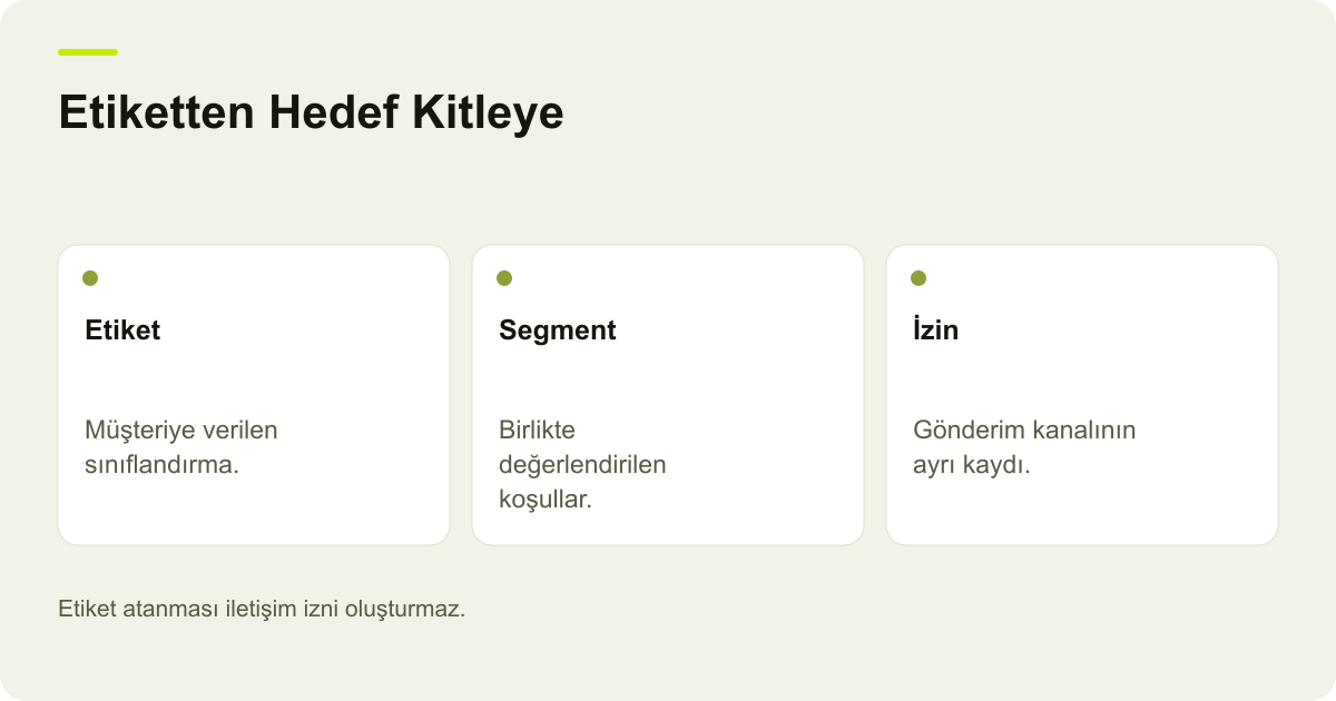 ikas Müşteri Etiketinin Segmentte Kullanılma Kapsamı konusunda kayıt, kapsam ve sonuç ilişkisini açıklayan AdPix şeması.