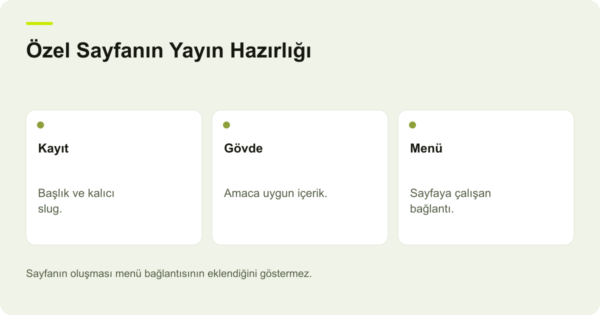 ikas Temada Oluşan Özel Sayfa Menüde Neden Yok? konusunda kayıt, kapsam ve sonuç ilişkisini açıklayan AdPix şeması.