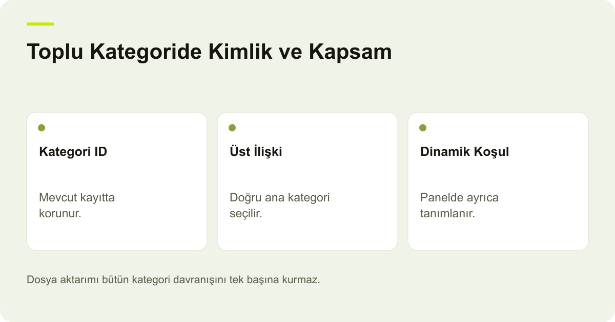 ikas Toplu Kategori Dosyasında Kimlik ve Üst Kategori konusunda kayıt, kapsam ve sonuç ilişkisini açıklayan AdPix şeması.
