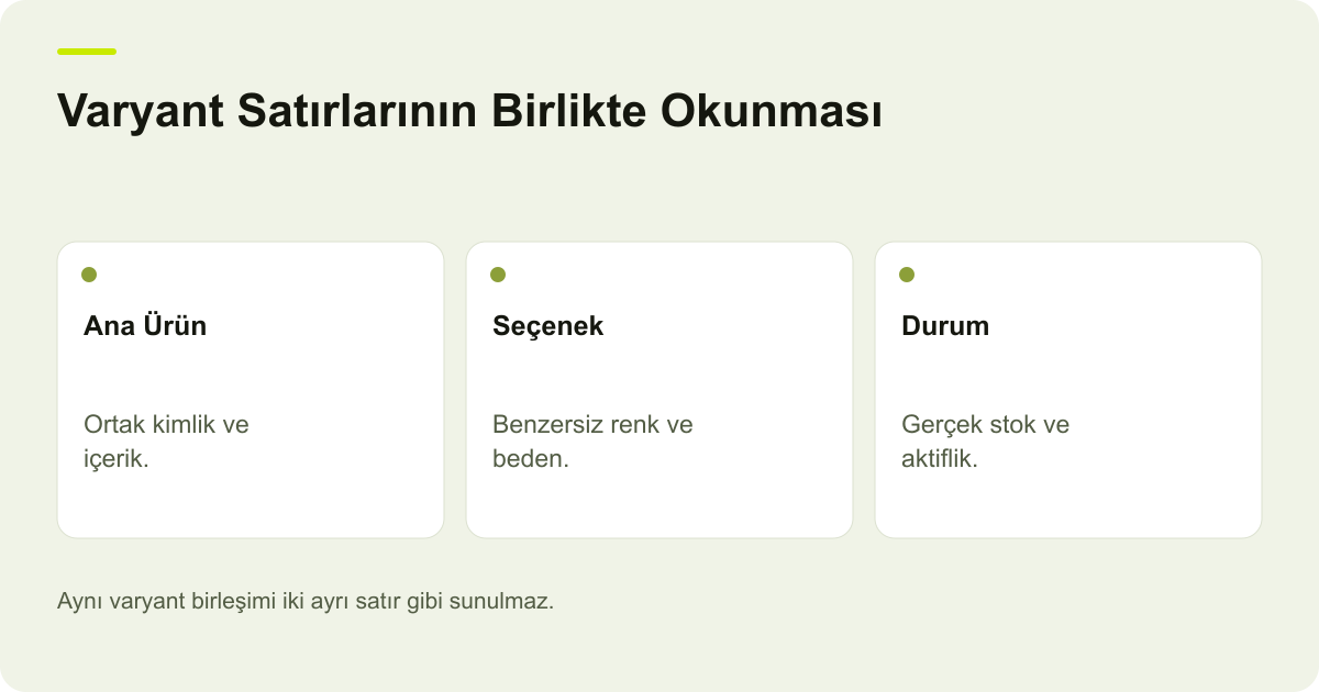 ikas Varyant Dosyasında Grup Kimliği ve Tekrarlanan Seçenek konusunda kayıt, kapsam ve sonuç ilişkisini açıklayan AdPix şeması.