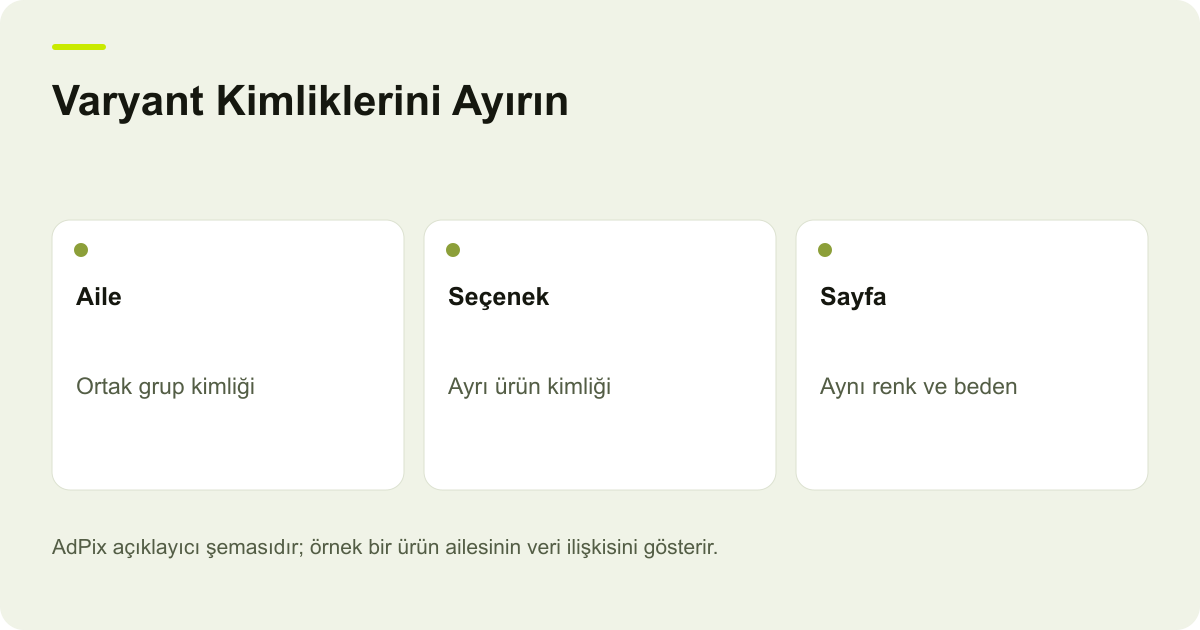 Varyant Kimliklerini Ayırın: Aile — Ortak grup kimliği; Seçenek — Ayrı ürün kimliği; Sayfa — Aynı renk ve beden