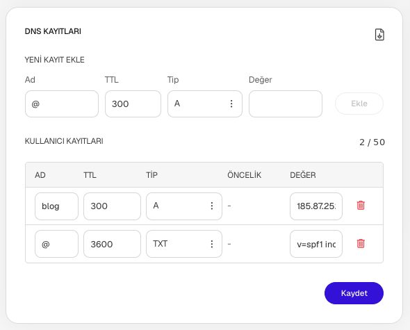 IdeaSoft DNS Kayıtları kartında ad, TTL, tip, öncelik ve değer alanları ile kayıt ekleme bölümü.