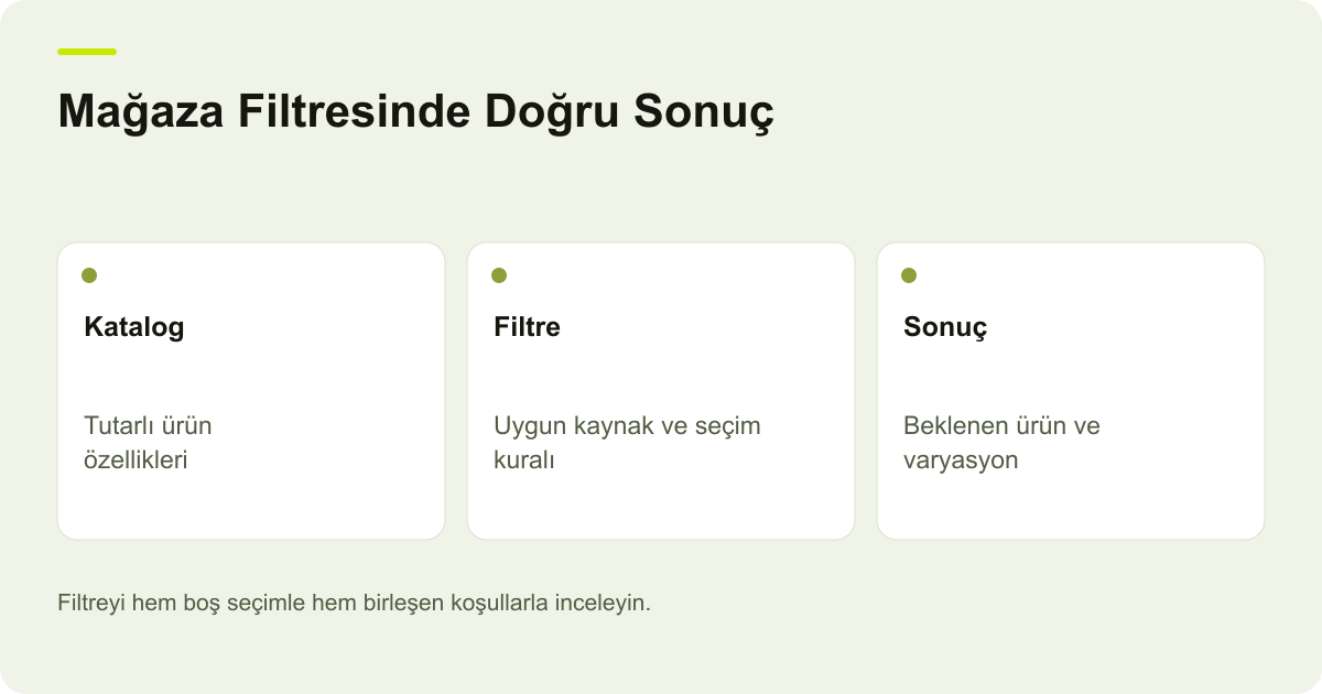 Mağaza Filtresinde Doğru Sonuç: Katalog: Tutarlı ürün özellikleri, Filtre: Uygun kaynak ve seçim kuralı, Sonuç: Beklenen ürün ve varyasyon
