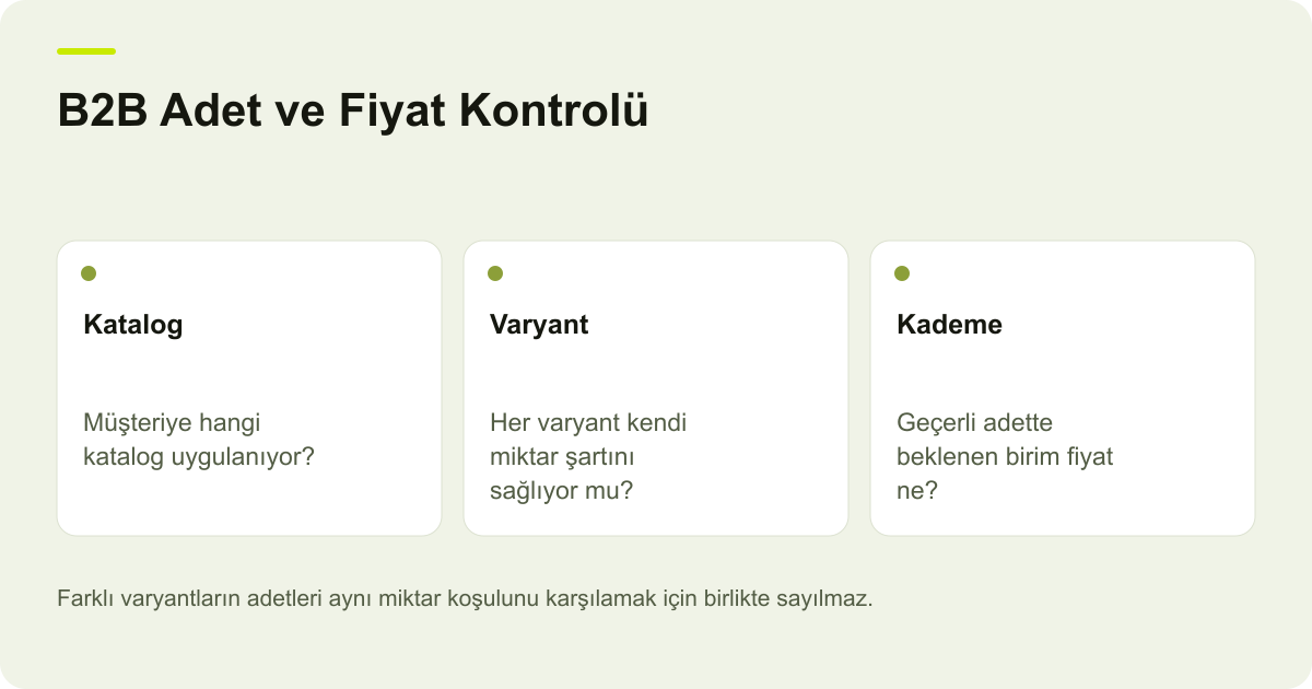 B2B Adet ve Fiyat Kontrolü: Katalog — Müşteriye hangi katalog uygulanıyor?; Varyant — Her varyant kendi miktar şartını sağlıyor mu?; Kademe — Geçerli adette beklenen birim fiyat ne?