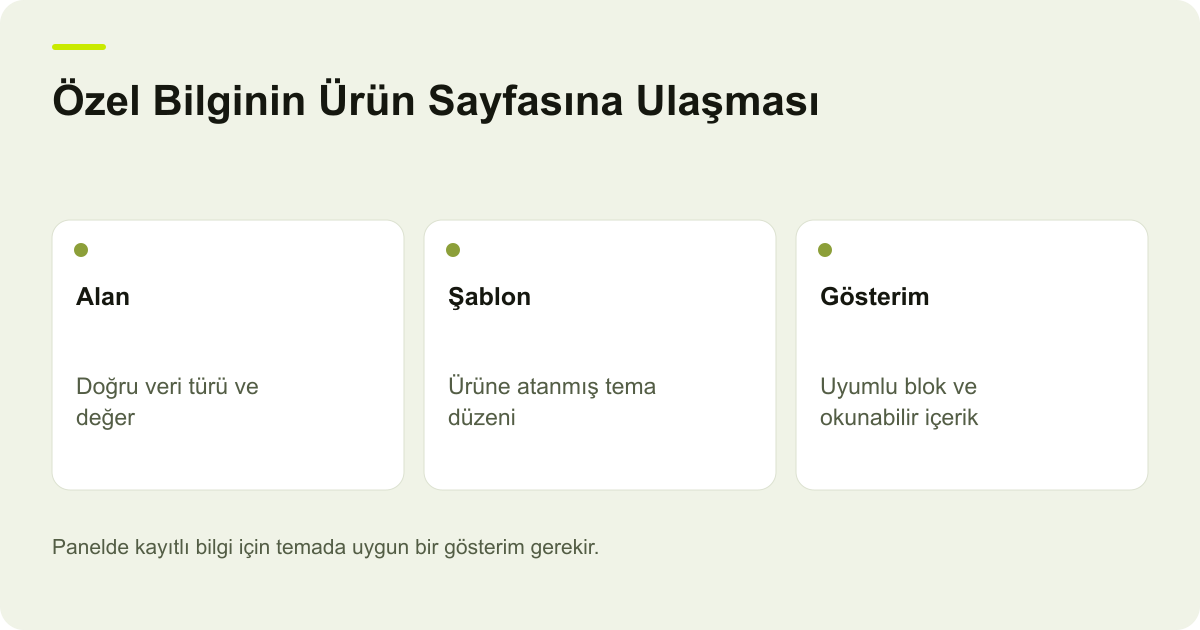 Özel Bilginin Ürün Sayfasına Ulaşması: Alan: Doğru veri türü ve değer, Şablon: Ürüne atanmış tema düzeni, Gösterim: Uyumlu blok ve okunabilir içerik