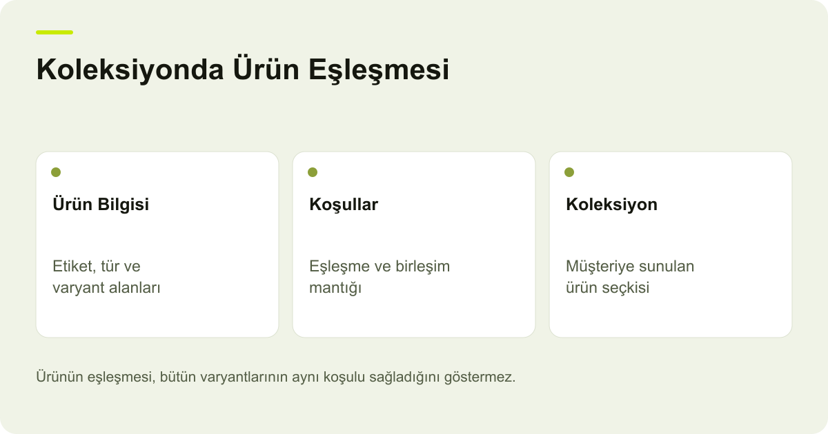 Koleksiyonda Ürün Eşleşmesi: Ürün Bilgisi: Etiket, tür ve varyant alanları, Koşullar: Eşleşme ve birleşim mantığı, Koleksiyon: Müşteriye sunulan ürün seçkisi
