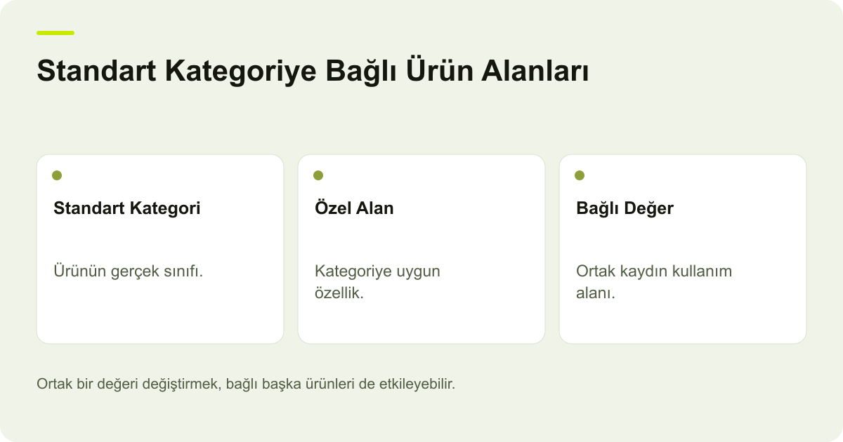 Shopify Standart Kategoriye Bağlı Ürün Alanları konusunda karar ve kayıt ilişkilerini gösteren açıklayıcı şema.