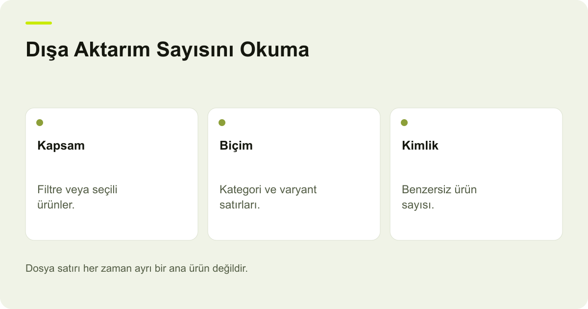 Ticimax Dışa Aktarılan Ürün Sayısı Neden Farklı? konusunda kayıt, kapsam ve sonuç ilişkisini açıklayan AdPix şeması.