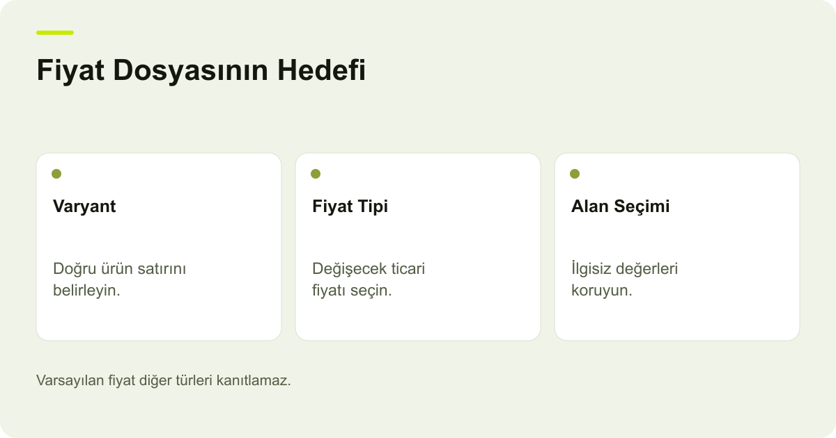 Ticimax Fiyat Excelinde Varyant ve Alternatif Fiyat Tipi konusunda kayıt, kapsam ve sonuç ilişkisini açıklayan AdPix şeması.