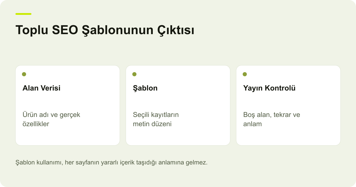 Toplu SEO Şablonunun Çıktısı: Alan Verisi: Ürün adı ve gerçek özellikler, Şablon: Seçili kayıtların metin düzeni, Yayın Kontrolü: Boş alan, tekrar ve anlam