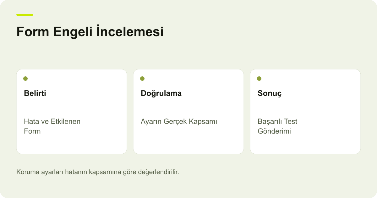 Form Engeli İncelemesi: Belirti: Hata ve Etkilenen Form, Doğrulama: Ayarın Gerçek Kapsamı, Sonuç: Başarılı Test Gönderimi