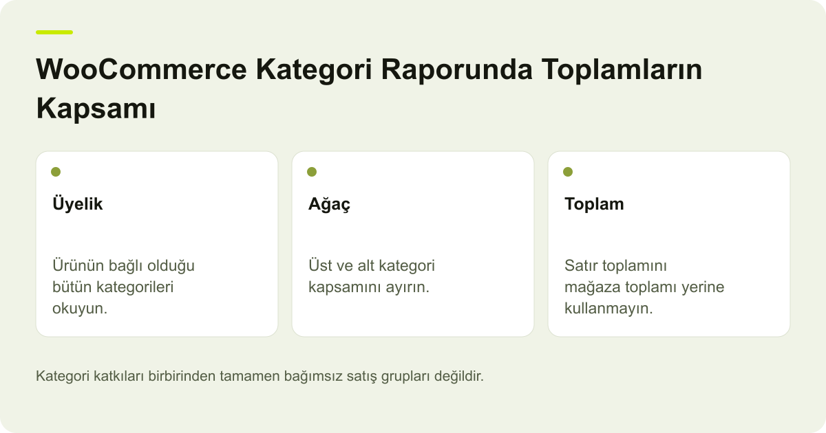 WooCommerce Kategori Raporunda Toplamların Kapsamı için kapsamı ve doğrulanacak kayıtları gösteren özgün açıklayıcı şema.