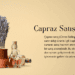 Çapraz Satış Nedir?